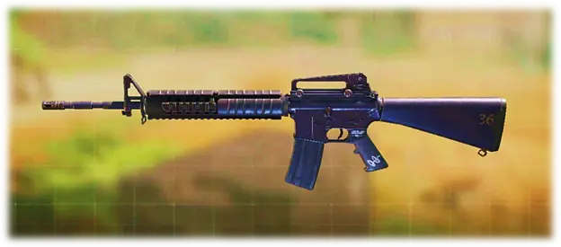 M16